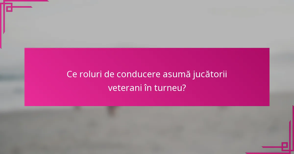 Ce roluri de conducere asumă jucătorii veterani în turneu?